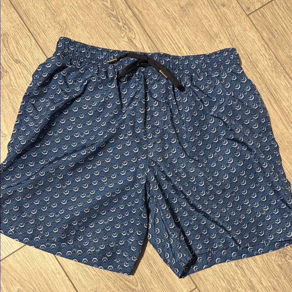 Ermenegildo Zegna Blue Patterned Swim Trunks